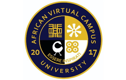 AVC-University-520-x330